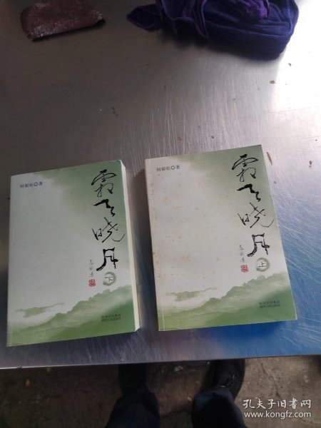 霜天晓月（上下）（正版\初版\无笔记\有点黄斑\实物拍摄）