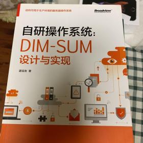 自研操作系统：DIM-SUM设计与实现(博文视点出品)