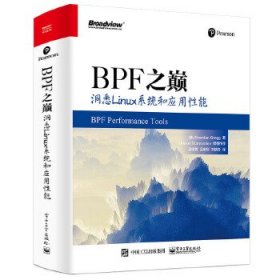 BPF之巅:洞悉Linux系统和应用性能9787121399725电子工业出版社布兰 登·格雷格