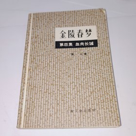 金陵春梦，第四集，血肉长城