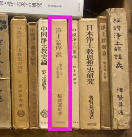 价可议 净土论序说 愿生净土 主体的意义 58zdwzdw 浄土论序说 愿生浄土の主体的意义