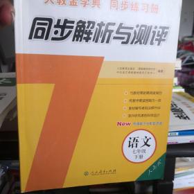 同步解析与测评：语文（七年级下册 人教版 人教金学典同步练习册）