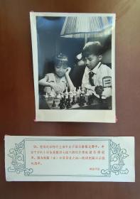在上海举行的上海市女子国际象棋比赛中，年仅十岁的小学生吴茜以七战六胜的优秀成绩获得冠军。图为吴茜和哥哥吴之江一起研究国际象棋的战术 照片长15厘米宽11.5厘米