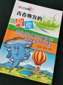 青春焕发的风能