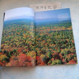 中国国家地理2010.11期（秋醉中国珍藏版：秋色专辑)
