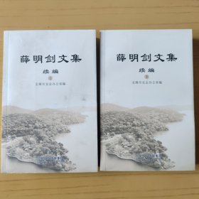 薛明剑文集:续编 上下