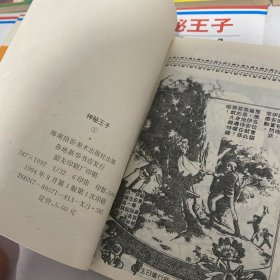 神秘王子(1-8册合售)