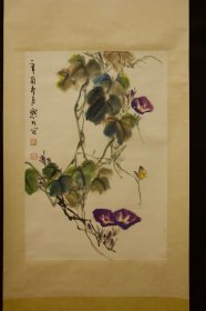 默如      牵牛花