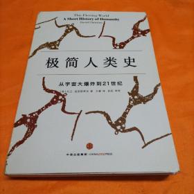 极简人类史：从宇宙大爆炸到21世纪