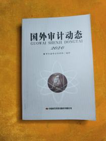 国外审计动态2020