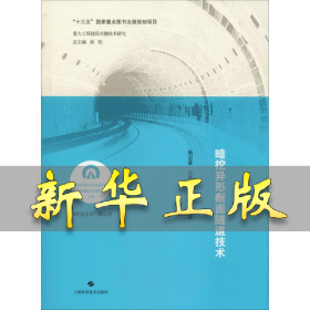 暗挖异形断面隧道技术 杨志豪,朱雁飞,曹文宏 编 9787547844885 上海科学技术出版社