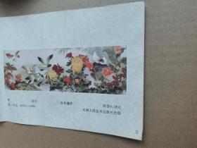 菊