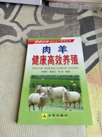 肉羊健康高效养殖