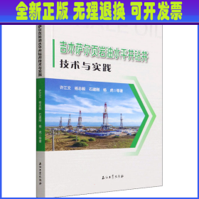 吉木萨尔页岩油水平井钻井技术与实践
