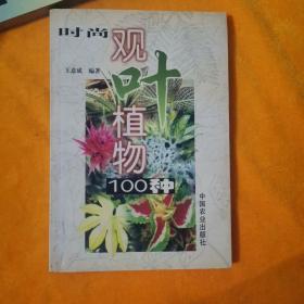 时尚观叶植物100种