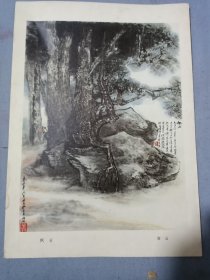 唐云枫石山水画片。