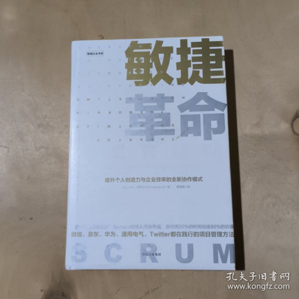 敏捷革命:提升个人创造力与企业效率的全新协作模式