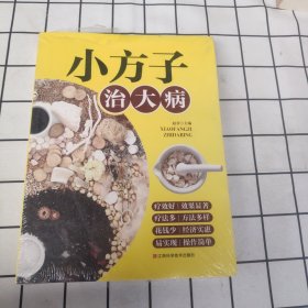 小方子治大病 中医书籍养生偏方大全民间老偏方美容养颜常见病防治 保健食疗偏方秘方大全小偏方老偏方中医健康养生保健疗法