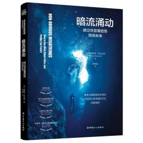 【正版】暗流涌动:透过非显著趋势预测未来:how to see what others miss and predict the future9787500877