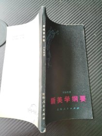 新美学纲要