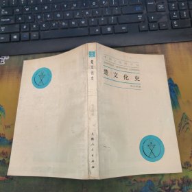 中国文化史丛书 楚文化史