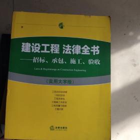 建设工程 法律全书：招标、承包、施工、验收（实用大字版）