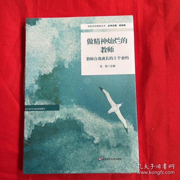 做精神灿烂的教师：教师自我成长的5个密码（特色学校聚焦丛书）