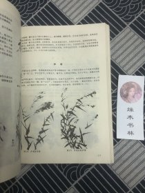 中国写意花鸟画技法