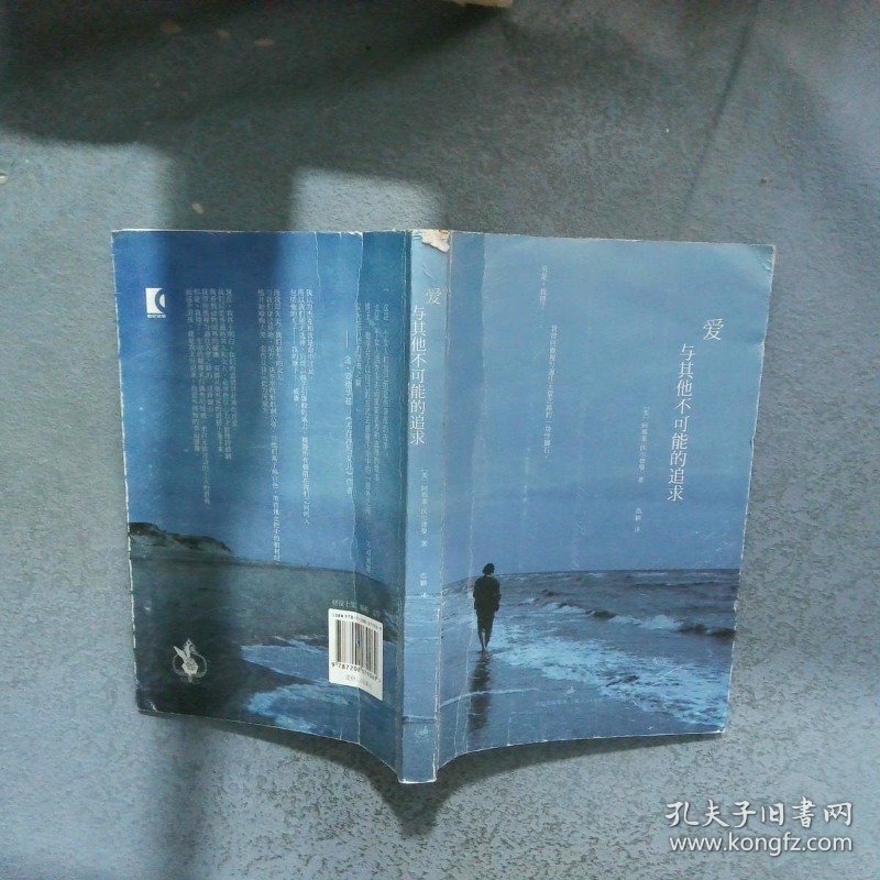 爱与其他不可能的追求