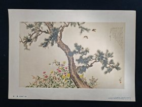 8开画页-花鸟（1958年，何香凝）