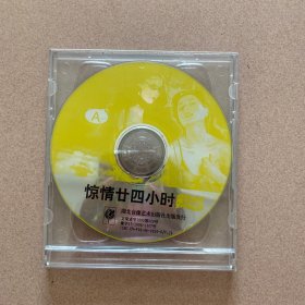 惊情廿四小时VCD(2碟装）