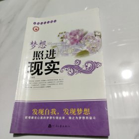 梦想照进现实