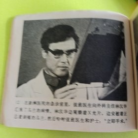 燕归来