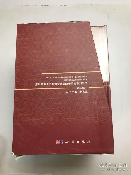 农村能源革命与西部能源发展战略研究（综合卷）