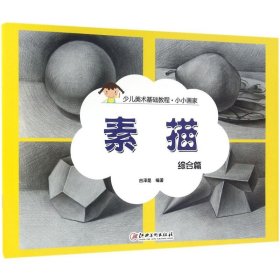 【正版图书】小小画家（素描·综合篇）白泽昆9787548039754江西美术出版社2016-07-01（文）