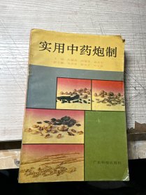 实用中药炮制