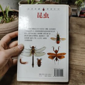 昆虫：全世界550多种昆虫、蜘蛛和陆生节肢动物的彩色图鉴