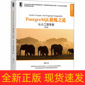 PostgreSQL修炼之道 从小工到专家 第2版 领域经典著作升级版