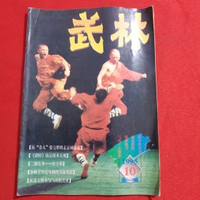 11745：武林 1995年第10期 二郎长拳 坎字拳；松溪内家鞭棍实战绝技；泰国拳肘击法；少林子母连环脚的实战用法；；