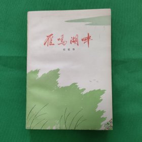 雁鸣湖畔（农村合作医疗题材、期间中央人民广播电台长篇连播小说、私藏九品）怀旧收藏雁鸣湖畔 红色文学 私藏美品 白纸铅印本