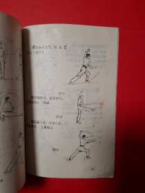 少林金鸡十三腿十路弹腿