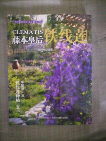 藤本皇后鐵線(xiàn)蓮