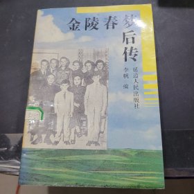 金陵春梦后传