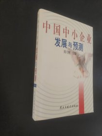 中国中小企业发展与预测:1999