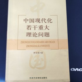中國(guó)現(xiàn)代化若干重大理論問題