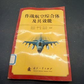 作战航空综合体及其效能