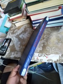 带血管蒂组织瓣移位手术图解