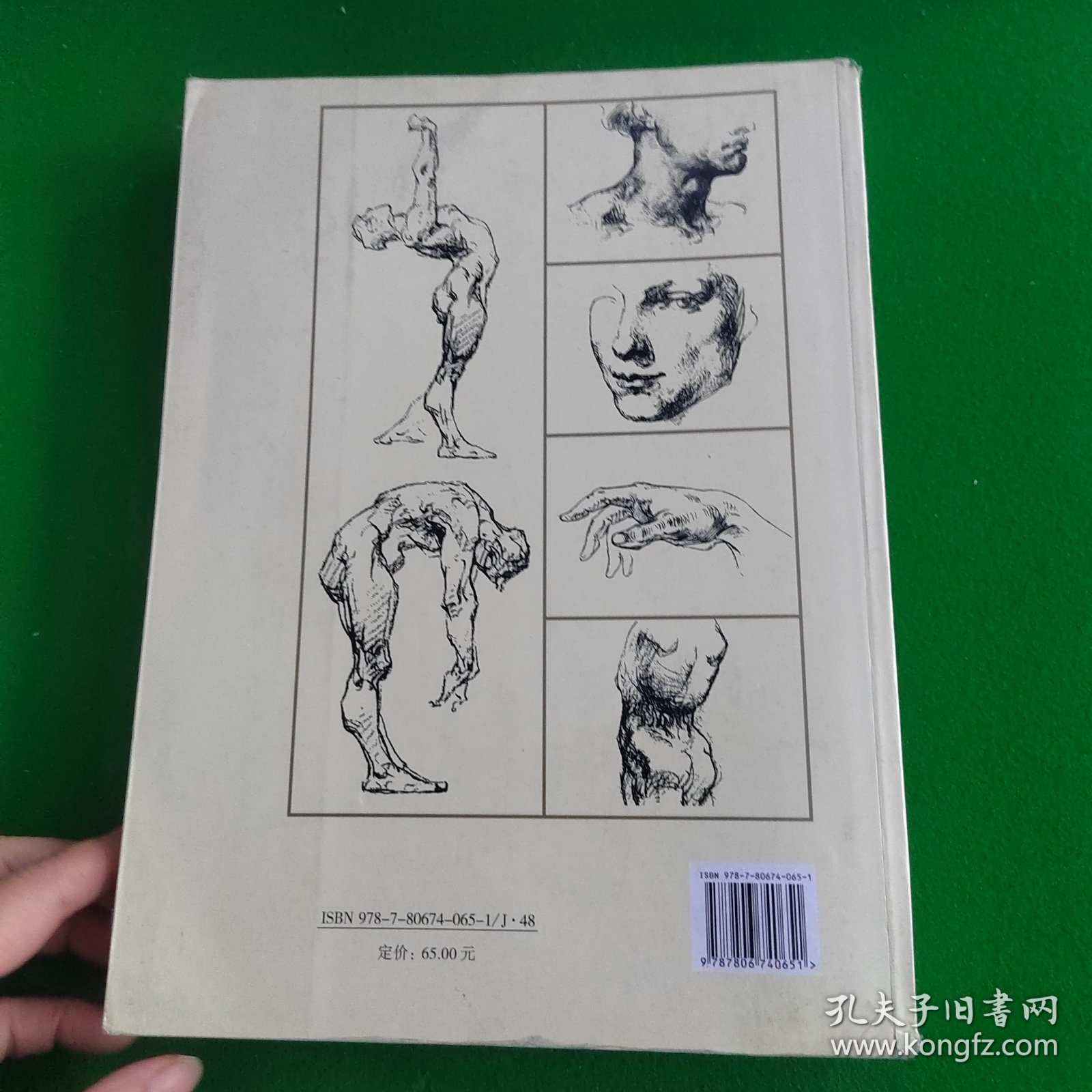伯里曼人体结构绘画教学
