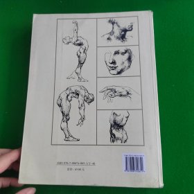 伯里曼人体结构绘画教学
