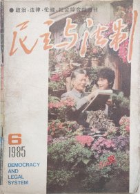 民主与法制 综合性月刊 1985第6期